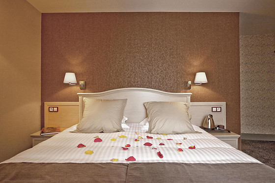 Best Western Le Duguesclin - photo 6