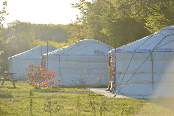 Domaine de Dienné - photo 3