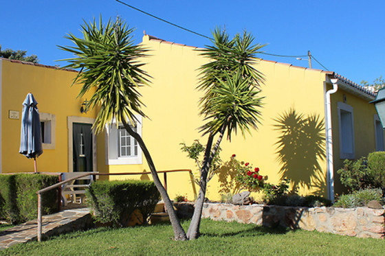 Monte dos Avós - photo 7