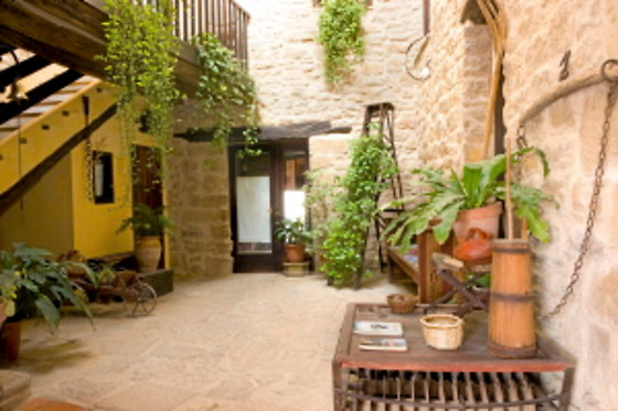 PALACIO DE ORISOAIN - photo 10