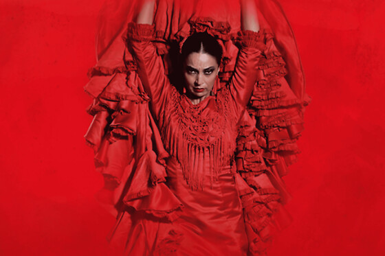 TEATRO FLAMENCO MADRID - photo 0