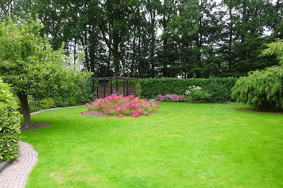 De Buitenhof - photo 8