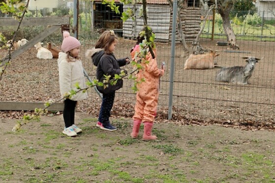 CASA DAS PALMEIRAS - photo 19