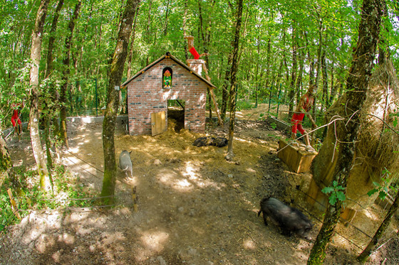 Domaine de Dienné - photo 11