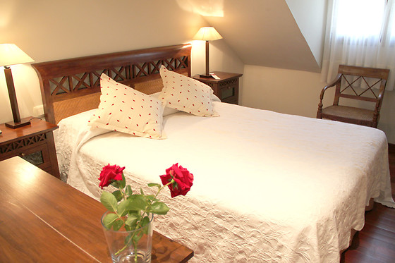 HOTEL VILLA MENCÍA - photo 5