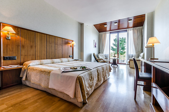 HOTEL DOÑA BRIGIDA - SALAMANCA FORUM - photo 3