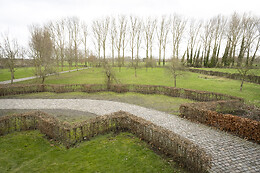 Loweide
