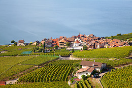 HOTEL FONDA NEUS