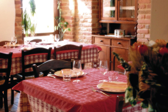 Azienda Agricola Le Selve - photo 5