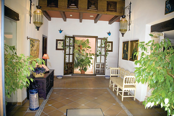 HOTEL PALACIO LAS MANILLAS - photo 23