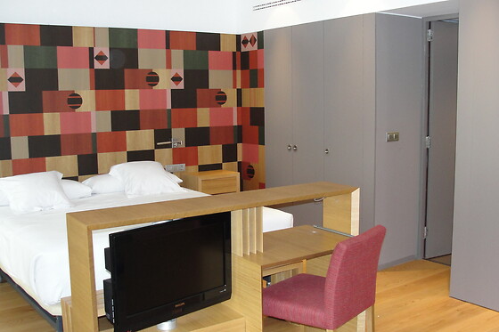 HOTEL RESORT BALNEARIO DE PANTICOSA - photo 15