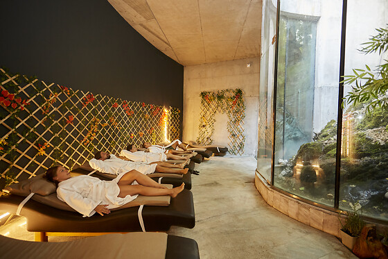 HOTEL RESORT BALNEARIO DE PANTICOSA - photo 35