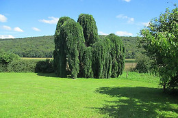Domaine de Fontenelay