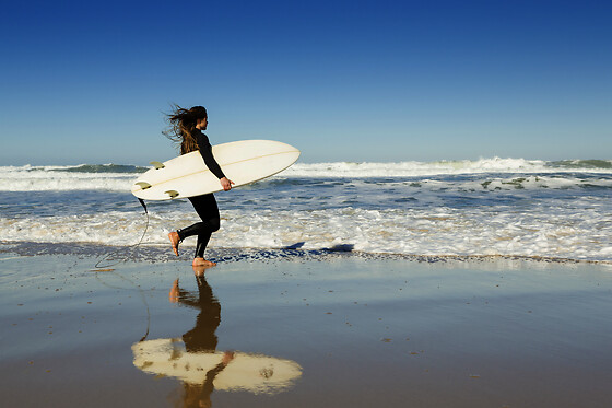 Inside Surf School - photo 20