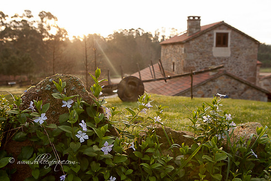HOTEL RUSTICO LUGAR DE COTARIÑO - photo 10