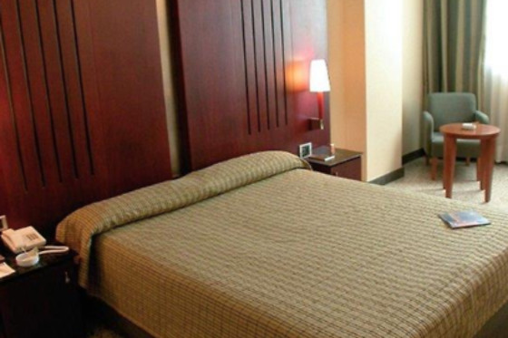 HOTEL AMALTEA - photo 5