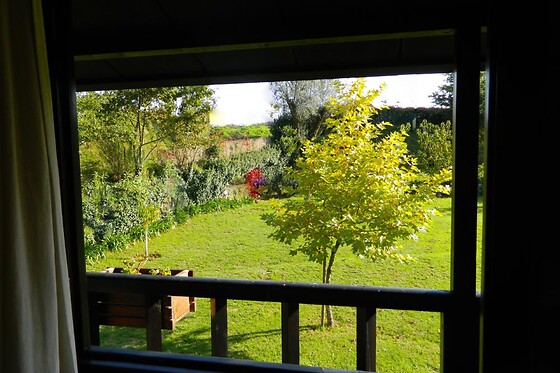 QUINTA LAMOSA - photo 20
