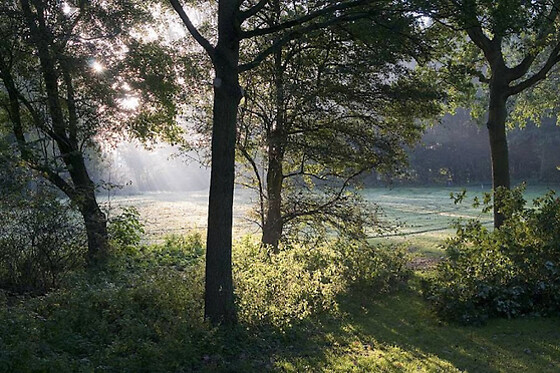 Buitengoed de Uylenburg - photo 7